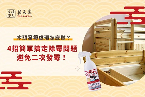 木頭發霉處理怎麼做? 簡單搞定!