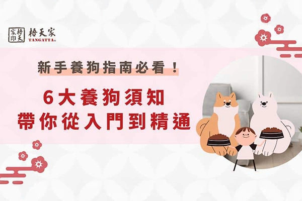新手養狗從入門到精通