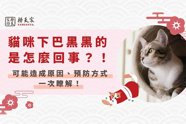 貓咪下巴黑黑的原因